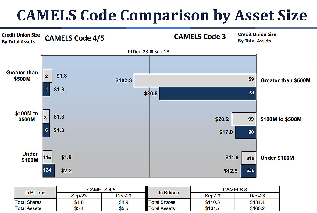 CAMELS Code Comparison by Asset Size